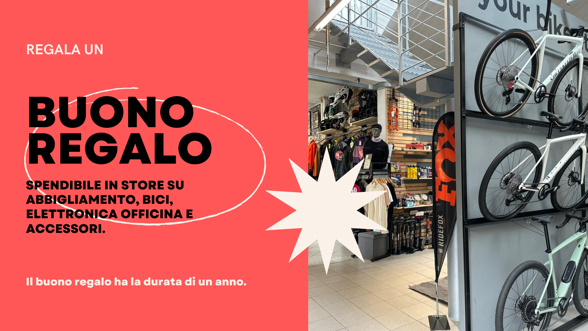 BUONO REGALO 100 - BIKE STORE MUGELLO 